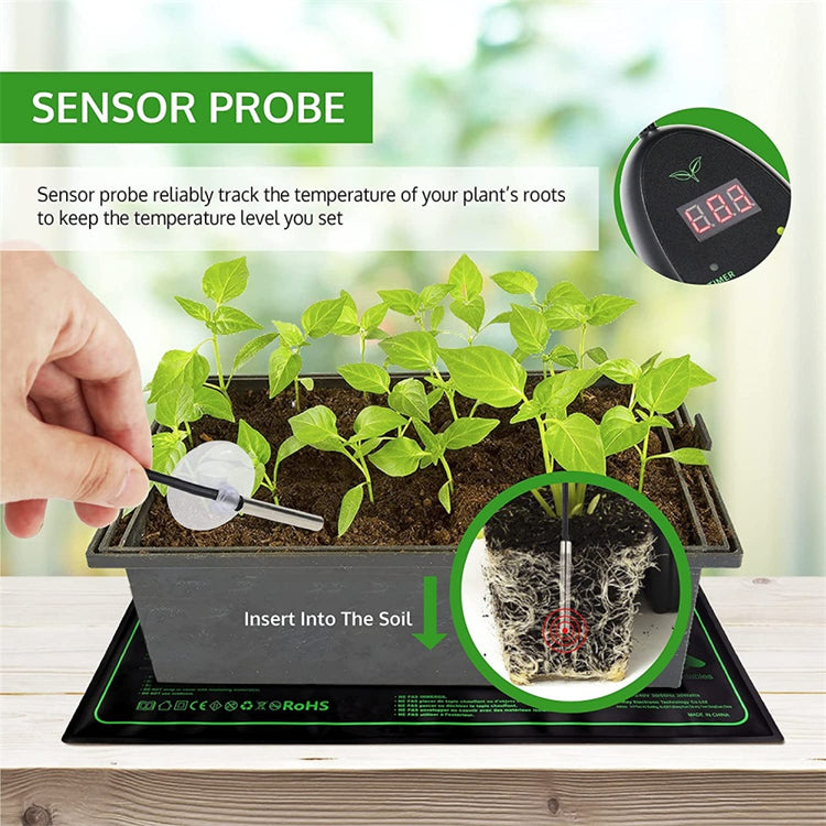 Sensor probe