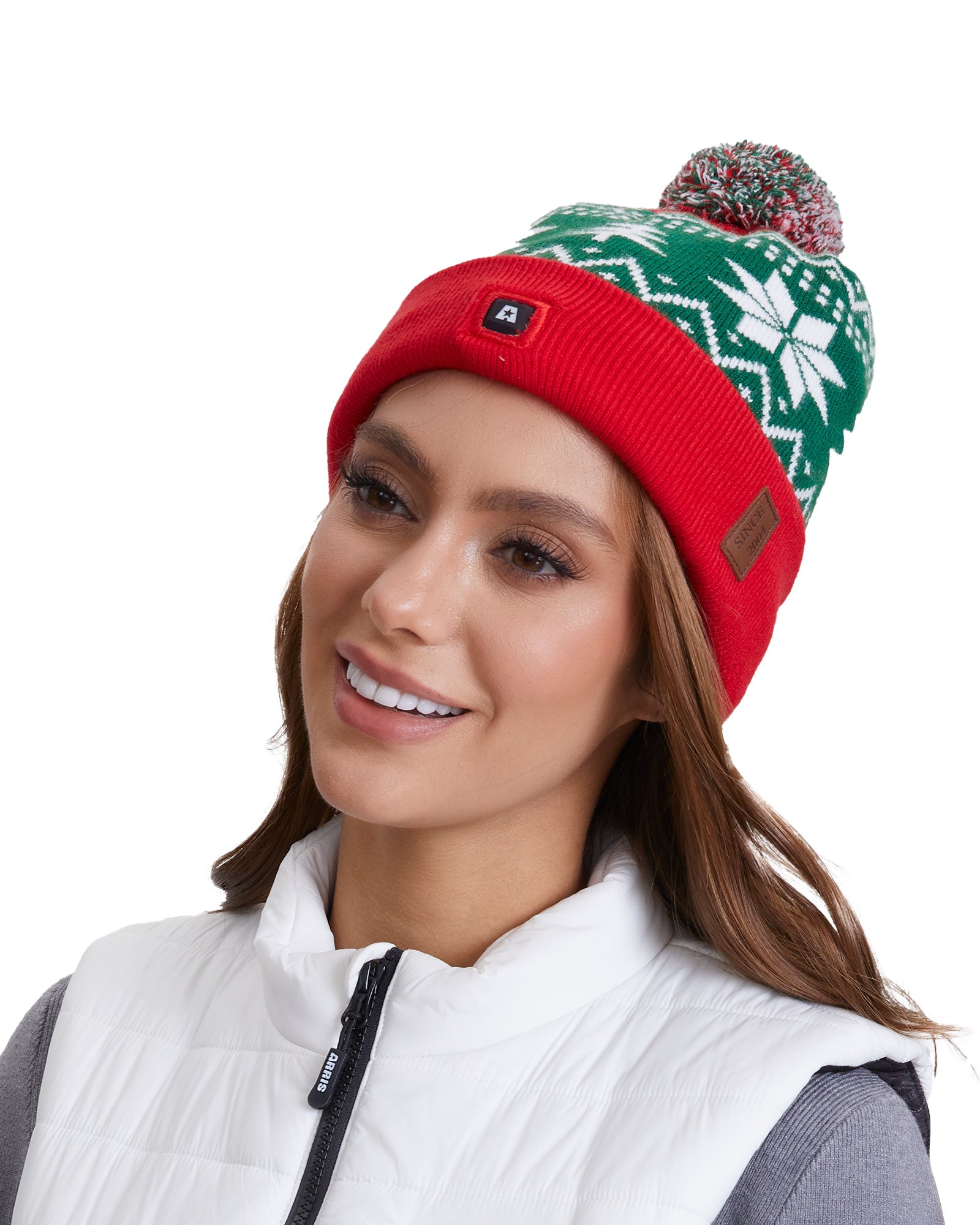 ARRIS Christmas Heated Hat Rechargeable Heated Beanie (Holiday Edition)
